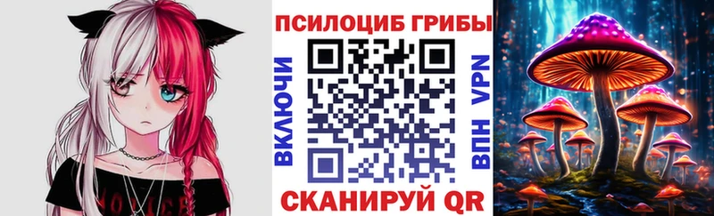 Галлюциногенные грибы прущие грибы Шенкурск